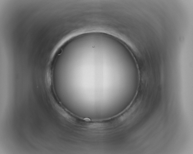 X0000110921510200906251408