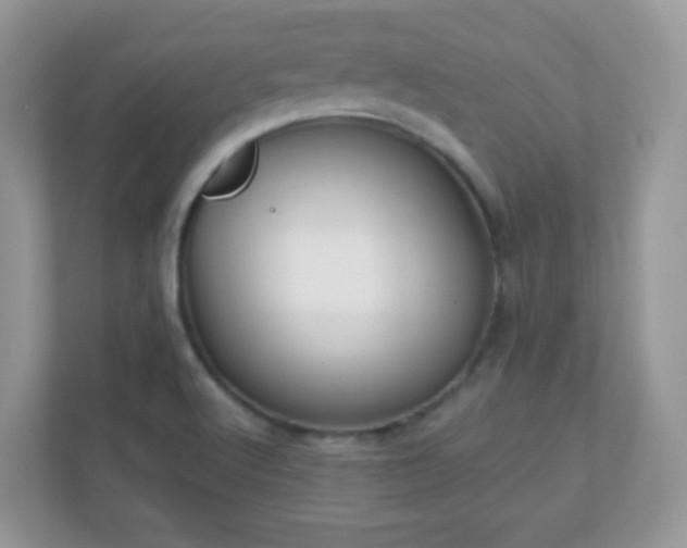 X0000110921512200906251408