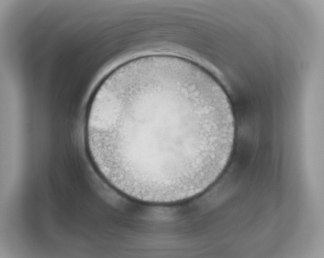 X0000110921514200906251408