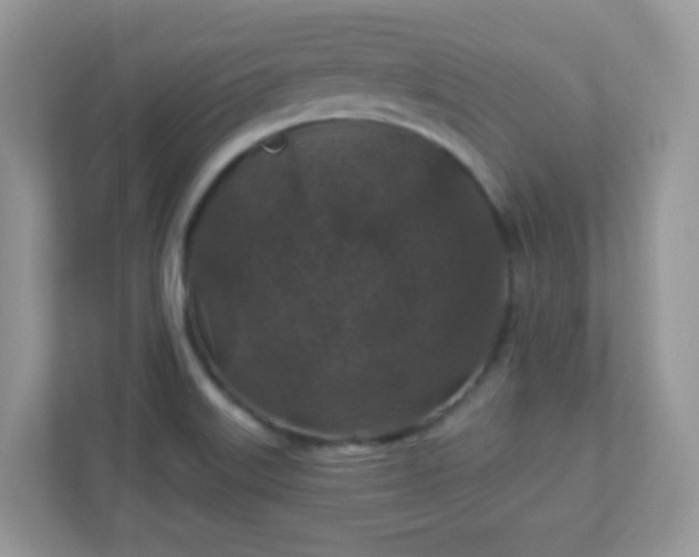 X0000110921515200906251408