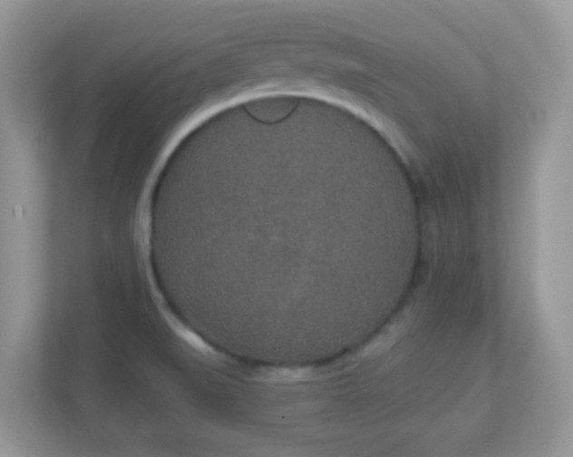 X0000110921519200906251408