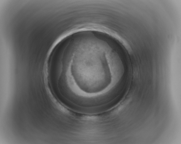 X0000110921522200906251408