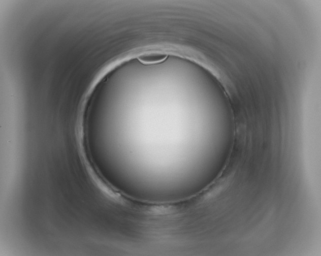 X0000110921523200906251408