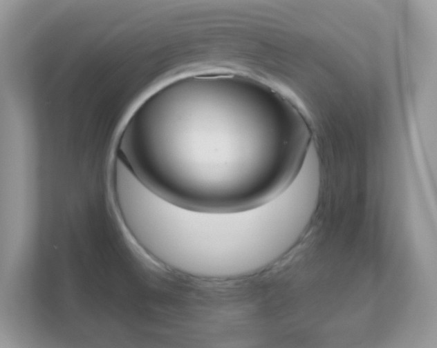 X0000110921524200906251408