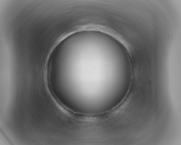 X0000110921525200906251408