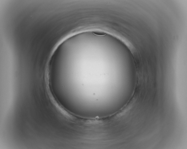 X0000110921526200906251408