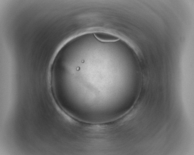 X0000110921527200906251408