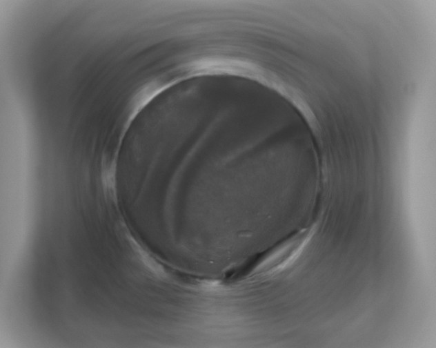 X0000110921529200906251408