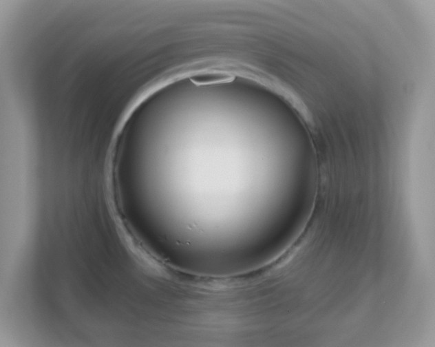X0000110921530200906251408