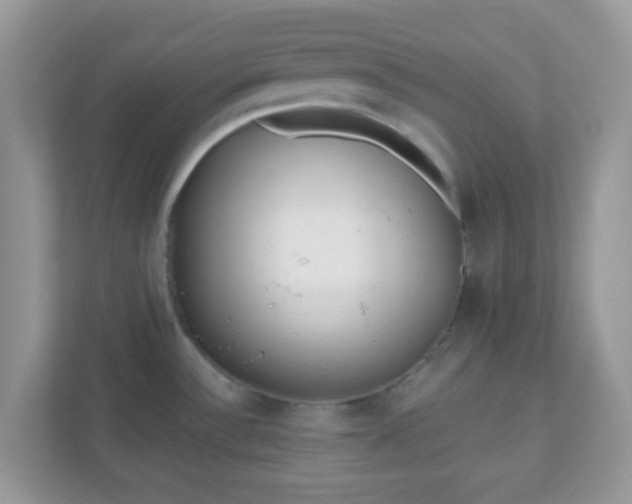 X0000110921532200906251408