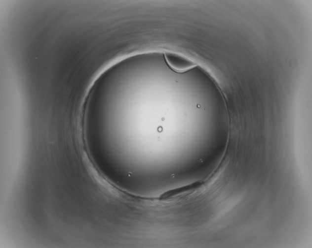 X0000110921534200906251408