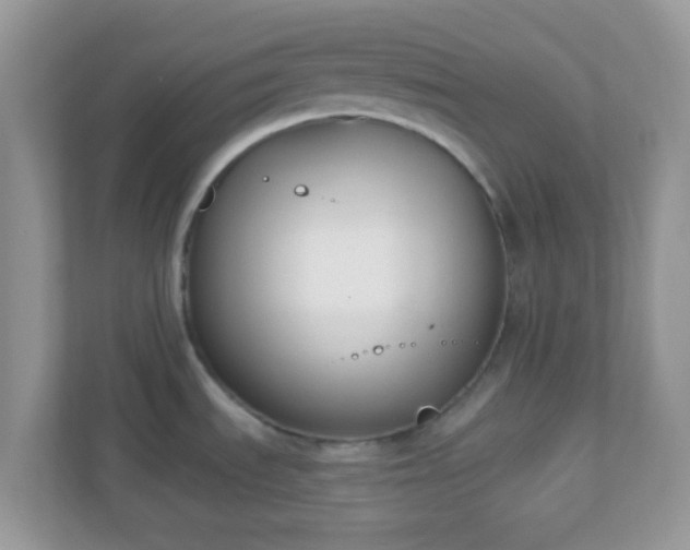 X0000110921535200906251408
