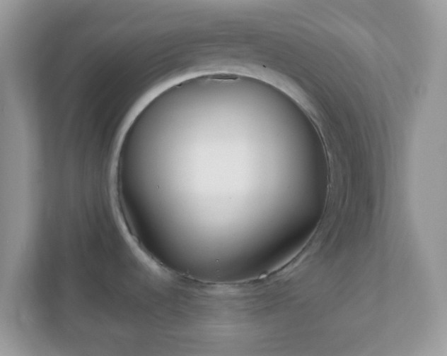 X0000110921536200906251408