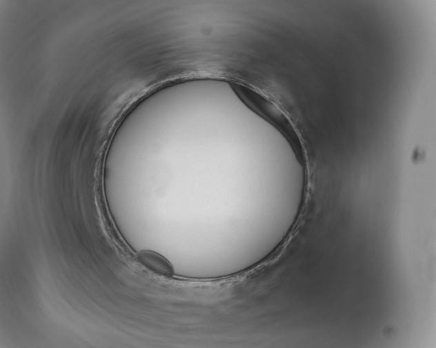 X0000110920001200907021510