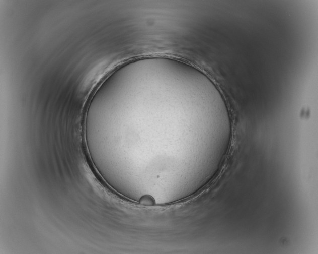 X0000110920002200907021510