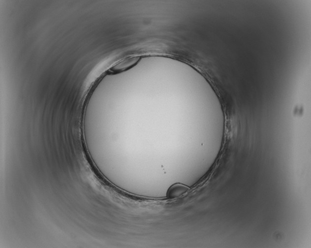 X0000110920004200907021510