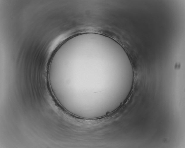 X0000110920006200907021510