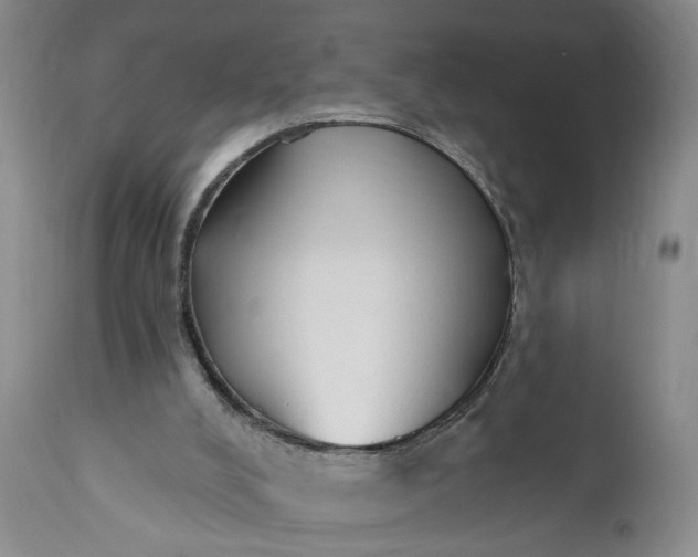 X0000110920008200907021510