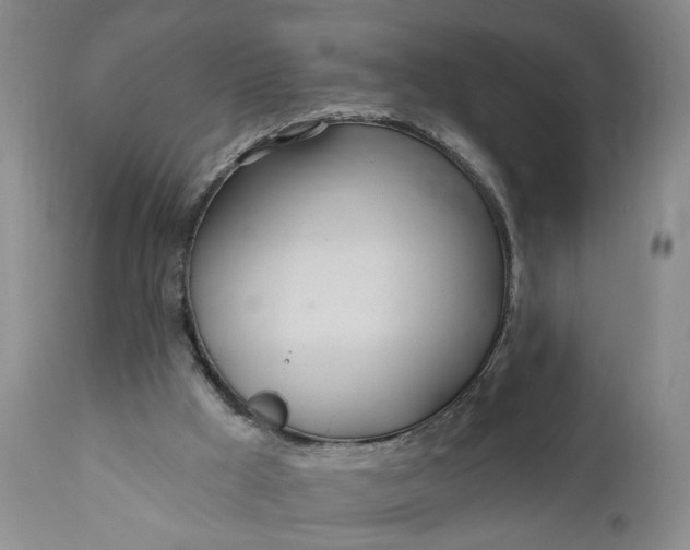 X0000110920009200907021510