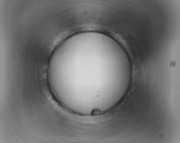 X0000110920010200907021510