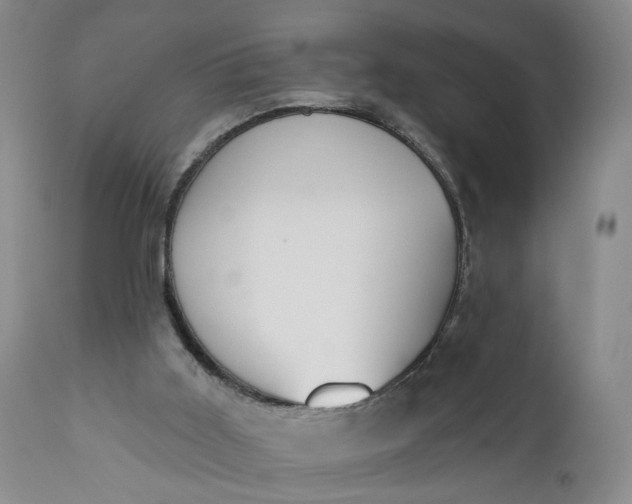 X0000110920011200907021510
