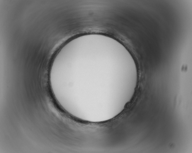 X0000110920012200907021510