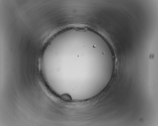 X0000110920013200907021510