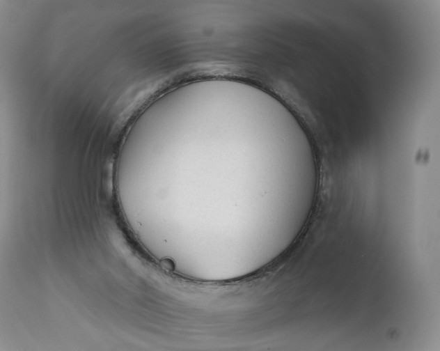 X0000110920014200907021510