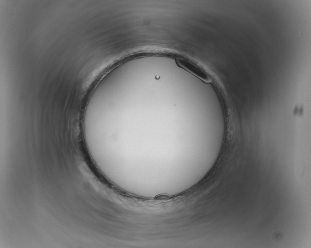 X0000110920015200907021510