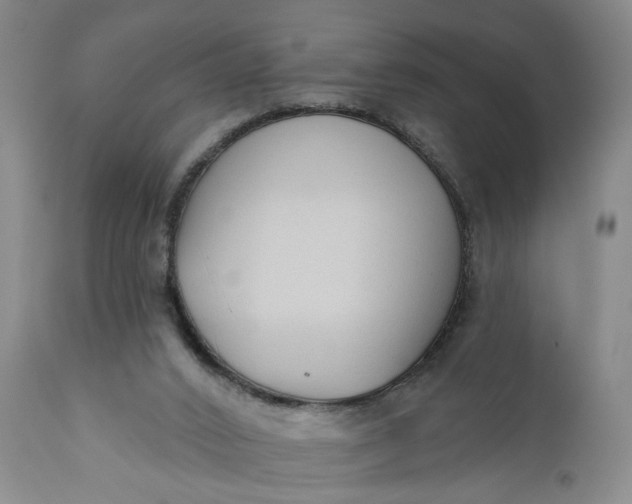 X0000110920016200907021510