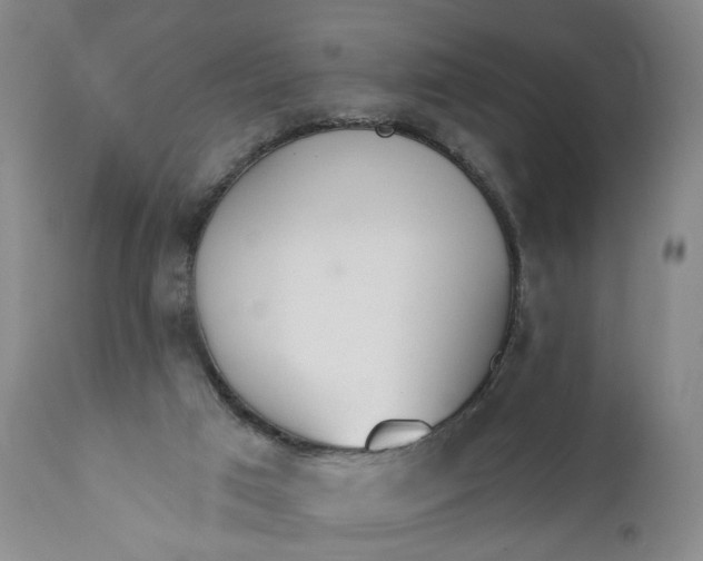 X0000110920017200907021510