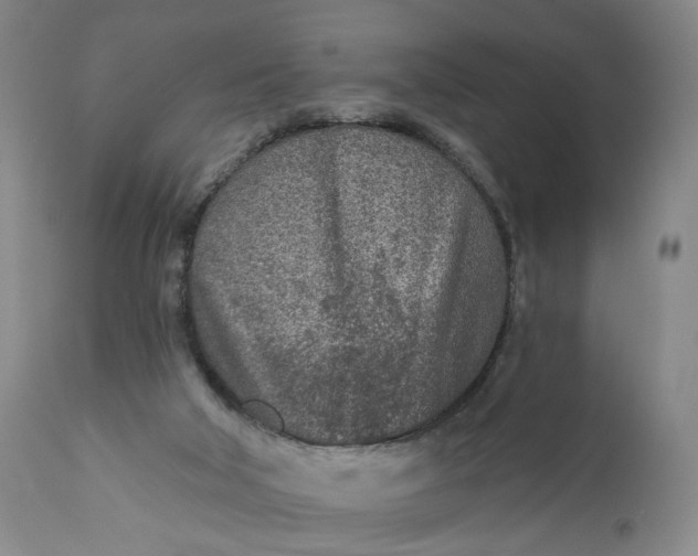 X0000110920018200907021510