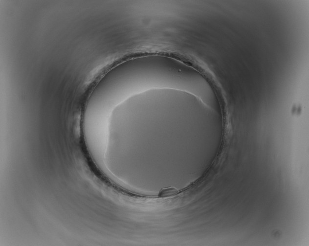 X0000110920019200907021510