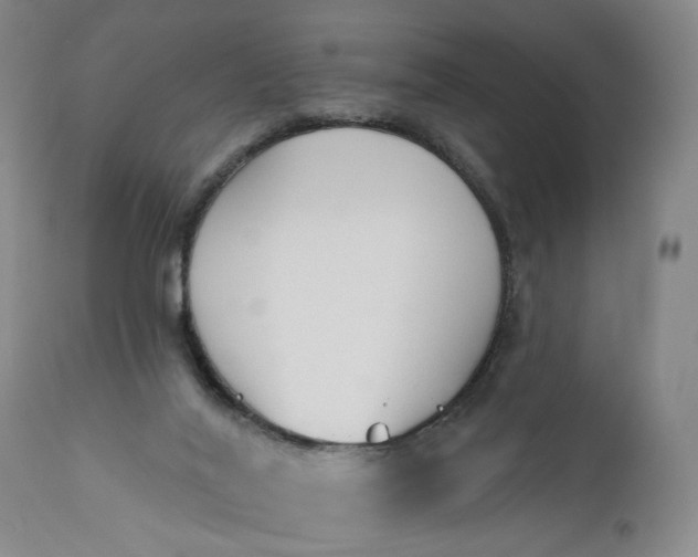 X0000110920020200907021510