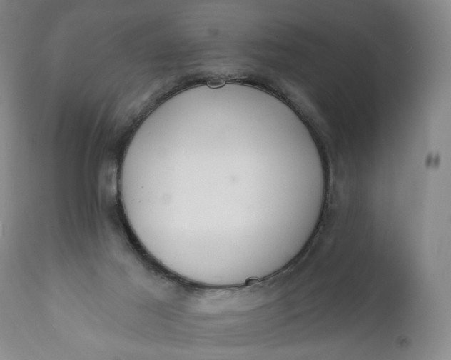 X0000110920021200907021510
