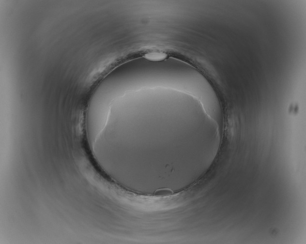 X0000110920023200907021510