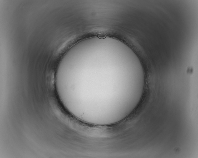 X0000110920024200907021510