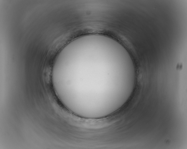 X0000110920026200907021509