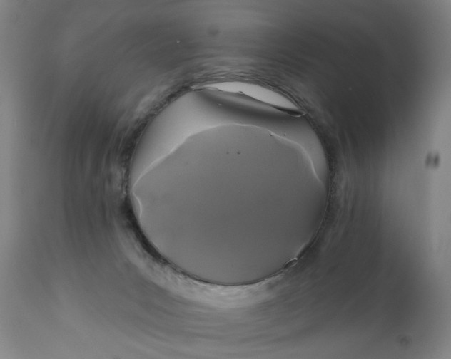 X0000110920031200907021509