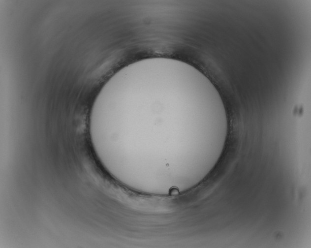 X0000110920032200907021509