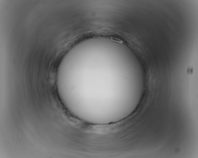 X0000110920033200907021509