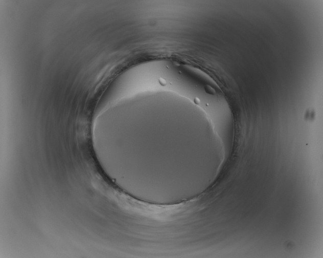X0000110920035200907021509
