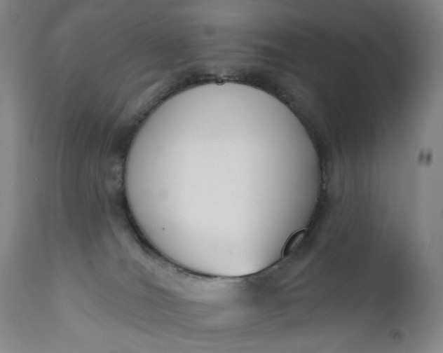 X0000110920036200907021509