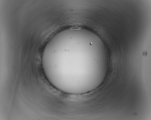 X0000110920037200907021509