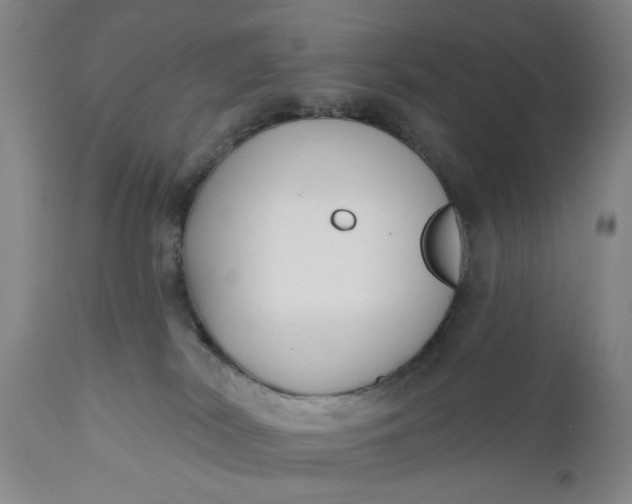 X0000110920038200907021509