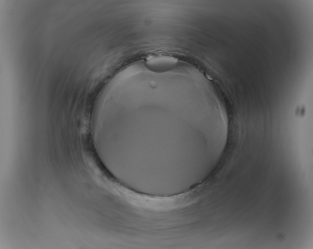 X0000110920039200907021509