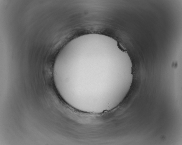 X0000110920040200907021509