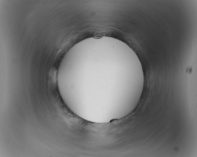 X0000110920041200907021509