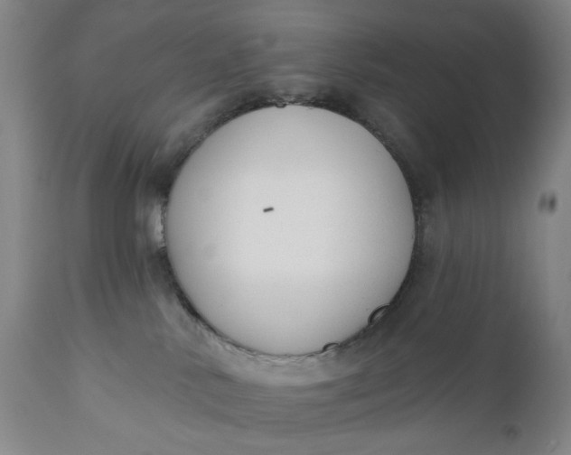 X0000110920042200907021509