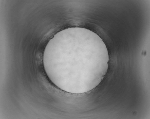 X0000110920043200907021509